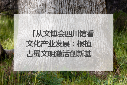 从文博会四川馆看文化产业发展：根植古蜀文明激活创新基因｜文博向“新”