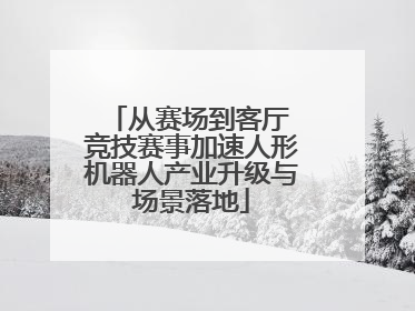 从赛场到客厅 竞技赛事加速人形机器人产业升级与场景落地