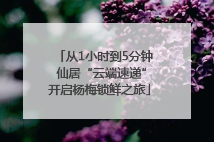 从1小时到5分钟 仙居“云端速递”开启杨梅锁鲜之旅