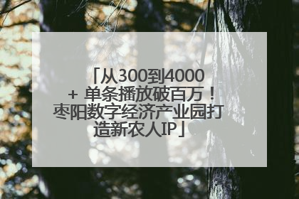 从300到4000+ 单条播放破百万！枣阳数字经济产业园打造新农人IP