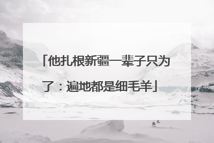 他扎根新疆一辈子只为了：遍地都是细毛羊