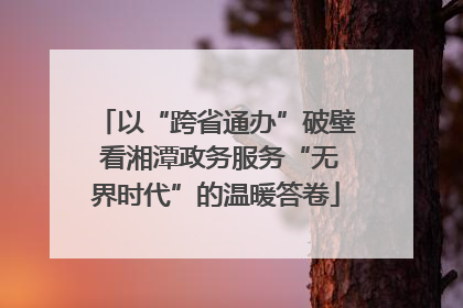 以“跨省通办”破壁 看湘潭政务服务“无界时代”的温暖答卷
