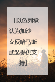 以色列承认为加沙一支反哈马斯武装提供支持