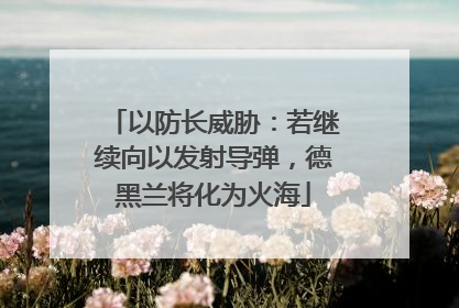 以防长威胁：若继续向以发射导弹，德黑兰将化为火海