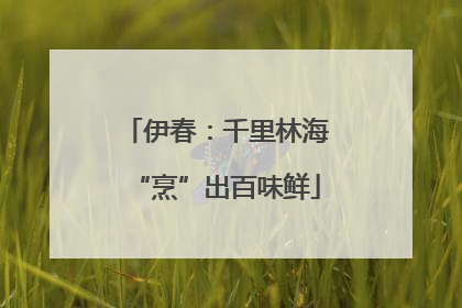 伊春：千里林海“烹”出百味鲜