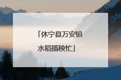 休宁县万安镇水稻插秧忙