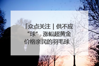 众点关注｜供不应“球” 涨幅超黄金 价格亲民的羽毛球为何身价飞涨？
