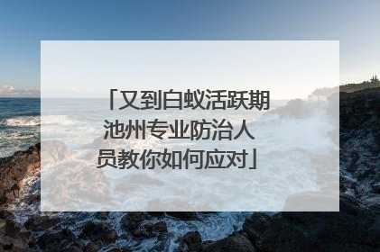 又到白蚁活跃期 池州专业防治人员教你如何应对