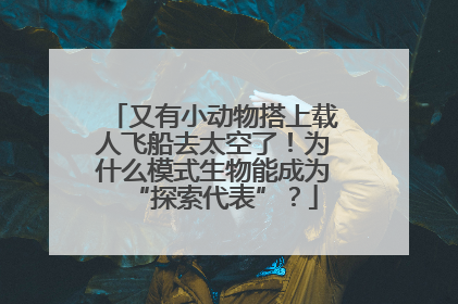 又有小动物搭上载人飞船去太空了！为什么模式生物能成为“探索代表”？
