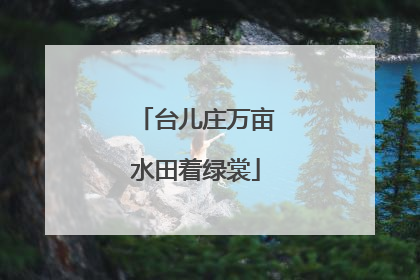 台儿庄万亩水田着绿裳