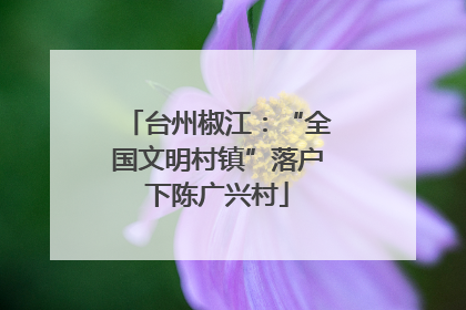台州椒江：“全国文明村镇”落户下陈广兴村
