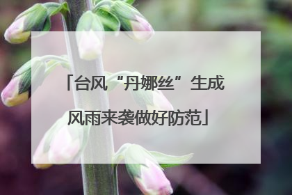 台风“丹娜丝”生成 风雨来袭做好防范
