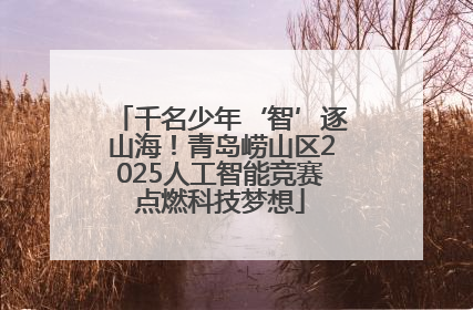 千名少年‘智’逐山海！青岛崂山区2025人工智能竞赛点燃科技梦想