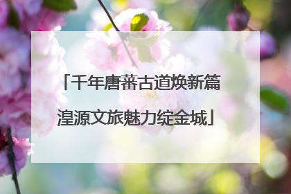 千年唐蕃古道焕新篇 湟源文旅魅力绽金城
