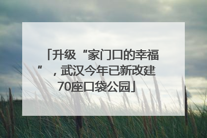 升级“家门口的幸福”，武汉今年已新改建70座口袋公园