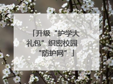 升级“护学大礼包”织密校园“防护网”
