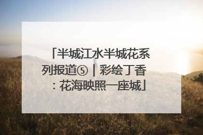 半城江水半城花系列报道⑤｜彩绘丁香：花海映照一座城