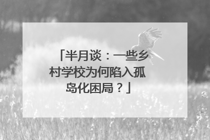 半月谈：一些乡村学校为何陷入孤岛化困局？