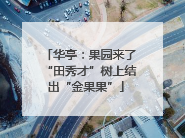 华亭：果园来了“田秀才”树上结出“金果果”