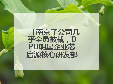南京子公司几乎全员被裁，DPU明星企业芯启源核心研发部门已人去楼空