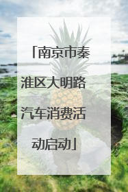 南京市秦淮区大明路汽车消费活动启动
