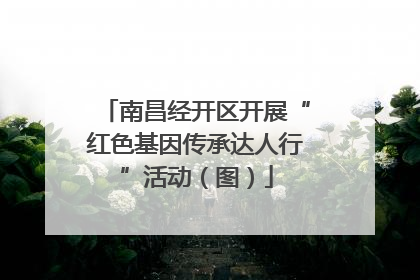 南昌经开区开展“红色基因传承达人行”活动（图）