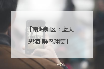 南海新区：蓝天碧海 群鸟翔集
