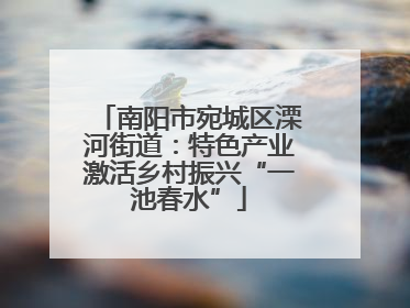 南阳市宛城区溧河街道：特色产业激活乡村振兴“一池春水”