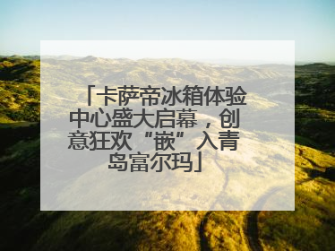 卡萨帝冰箱体验中心盛大启幕，创意狂欢“嵌”入青岛富尔玛