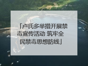 卢氏多举措开展禁毒宣传活动 筑牢全民禁毒思想防线