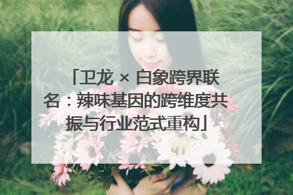 卫龙 × 白象跨界联名：辣味基因的跨维度共振与行业范式重构