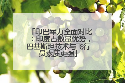 印巴军力全面对比：印度占数量优势，巴基斯坦技术与飞行员素质更强