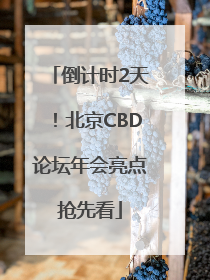 倒计时2天！北京CBD论坛年会亮点抢先看