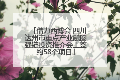 借力西博会 四川达州市重点产业融圈强链投资推介会上签约58个项目