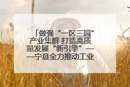 做强“一区三园”产业集群 打造高质量发展“新引擎”——宁县全力推动工业经济提质增效