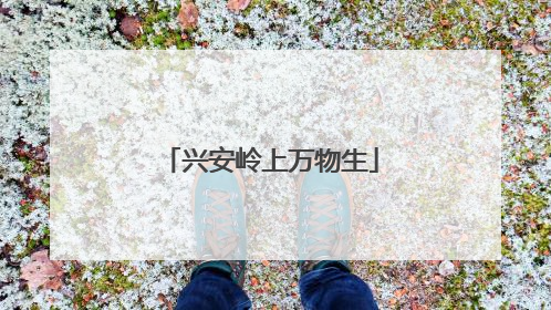 兴安岭上万物生