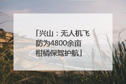兴山：无人机飞防为4800余亩柑橘保驾护航