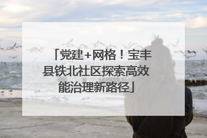 党建+网格！宝丰县铁北社区探索高效能治理新路径