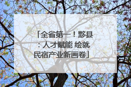 全省第一！黟县：人才赋能 绘就民宿产业新画卷