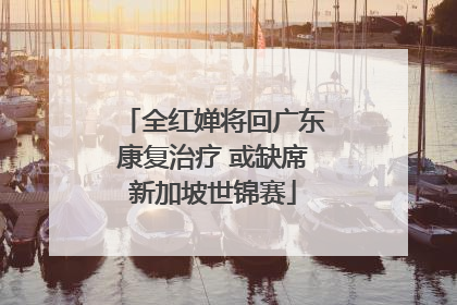 全红婵将回广东康复治疗 或缺席新加坡世锦赛