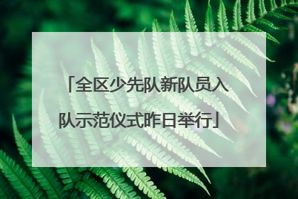 全区少先队新队员入队示范仪式昨日举行