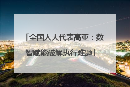 全国人大代表高亚：数智赋能破解执行难题