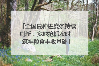 全国夏种进度条持续刷新：多地抢抓农时 筑牢粮食丰收基础