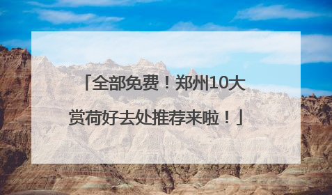 全部免费！郑州10大赏荷好去处推荐来啦！