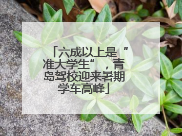 六成以上是“准大学生”，青岛驾校迎来暑期学车高峰