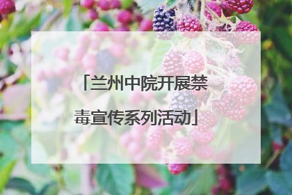 兰州中院开展禁毒宣传系列活动
