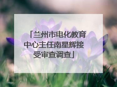 兰州市电化教育中心主任南星辉接受审查调查