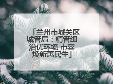 兰州市城关区城管局：精管细治优环境 市容焕新惠民生
