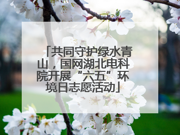 共同守护绿水青山，国网湖北电科院开展“六五”环境日志愿活动