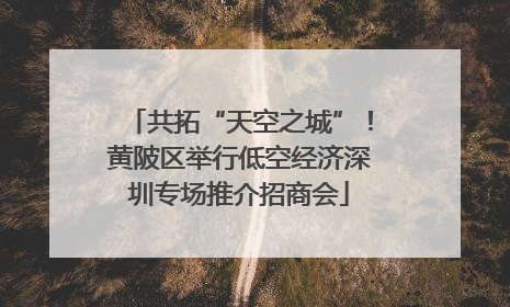 共拓“天空之城”！黄陂区举行低空经济深圳专场推介招商会